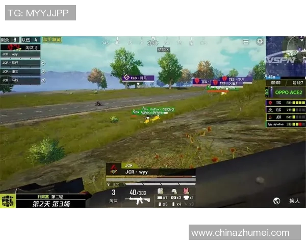 FPX在S15电竞总决赛和平精英中的辉煌突破与成长历程全记录